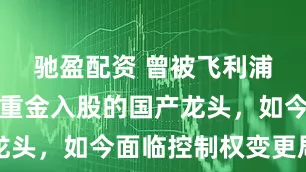 驰盈配资 曾被飞利浦看中，并重金入股的国产龙头，如今面临控制权变更局面